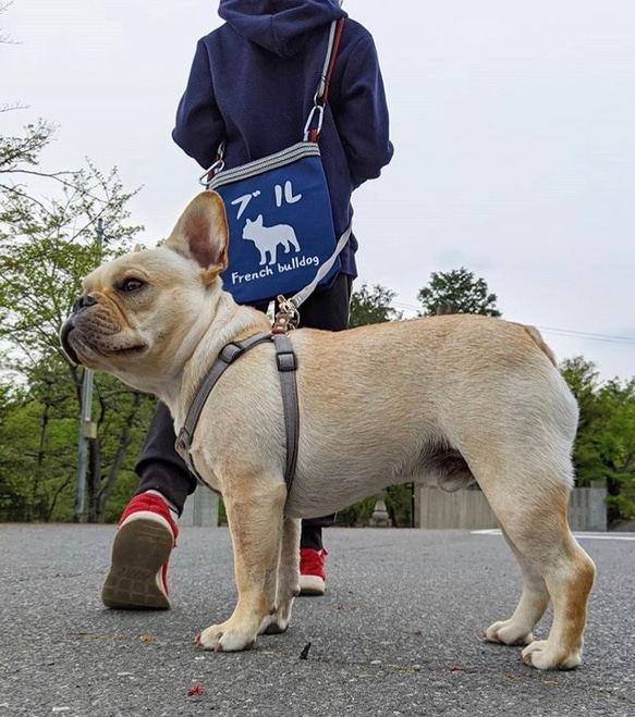 【さんぽ袋】ワンちゃんプリントのサッコッシュバッグ！カラープリント自由の完全オーダー！ 9枚目の画像