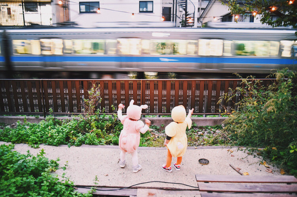 ふわふわヒヨコさん 7枚目の画像