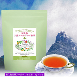 ＜私たちが作った屋久島天然アールグレイ紅茶＞ティーバッグ 3g×15p 無農薬/無化学肥料/残留農薬ゼロ 1枚目の画像