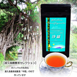 ＜私たちが作った屋久島醗酵茶セレクション「天然アールグレイ紅茶」＞リーフ 45g 無農薬/無化学肥料/残留農薬ゼロ 1枚目の画像