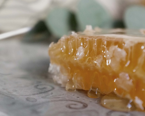 贅沢コームハニー｜タスマニア産レザーウッド｜巣蜜 ジャム・シロップ