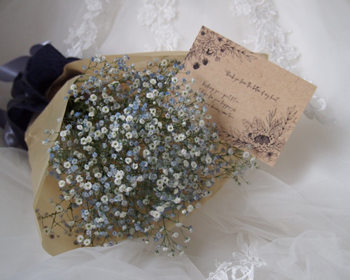 1_dade95e406f82215dcaa79ca79b7