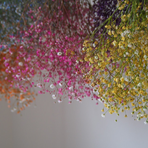 晴れやかブルー2025♡1番人気❤︎枯れない魔法花束⭐︎笑顔になる幸せ