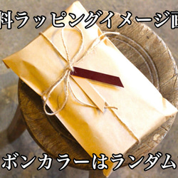 【受注生産品】小さい三つ折り財布 ～栃木アニリンキャメル×栃木ヌメ～ 10枚目の画像