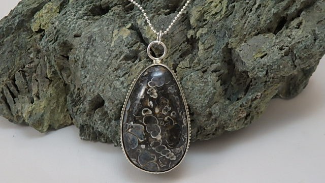 ペトリファイドシェル