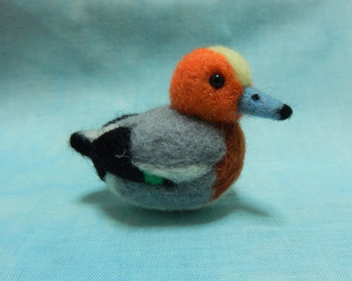 羊毛フェルト野鳥 ヒドリガモ 羊毛フェルト ことりこ 通販 6024524