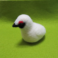 羊毛フェルト✿オーダー受け付け用ページ オーダー受け付け 文鳥 羊毛フェルト 羊毛フェルト クリぱん 通販