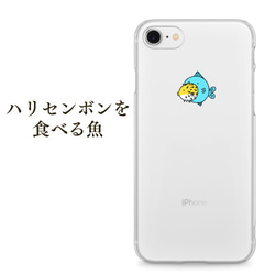 ハリセンボンを食べる魚【iphone5/5S/SE/6/6S/7/8/X/XS/XSmax/XR】 1枚目の画像