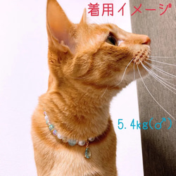 猫の首輪ブルー系ビーズ❤ネックレス首輪♡ストーンチャーム色違いあり✨ 6枚目の画像