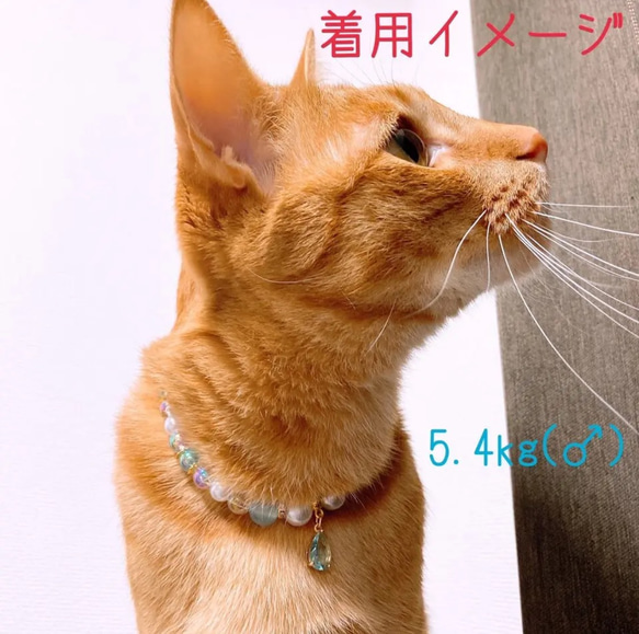 猫の首輪ブルー系ビーズ❤ネックレス首輪♡ストーンチャーム色違いあり✨ 6枚目の画像