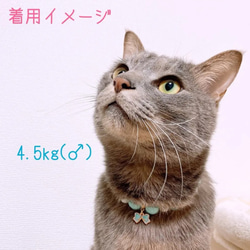 猫の首輪可愛い系ブルービーズ✨ネックレス首輪♡リボンチャーム 5枚目の画像