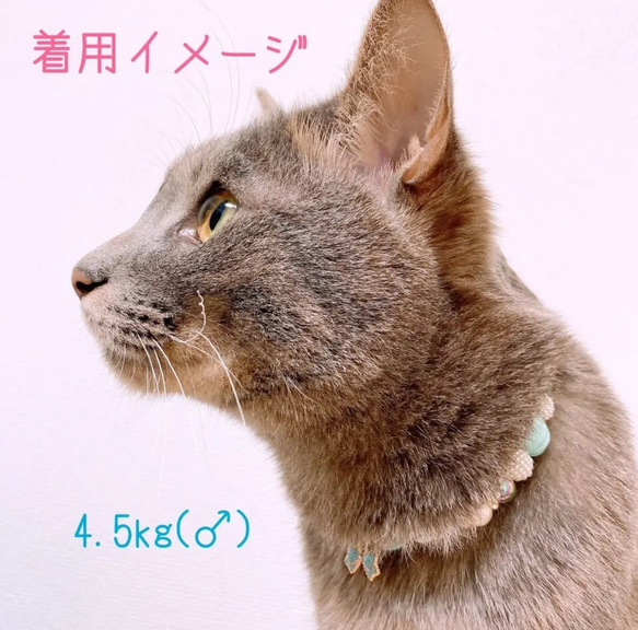 猫の首輪可愛い系ブルービーズ✨ネックレス首輪♡リボンチャーム 6枚目の画像