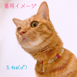 猫の首輪小花ビーズネックレス首輪♡ストーンチャーム 8枚目の画像