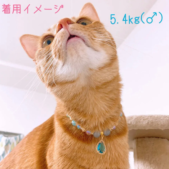 猫の首輪ブルー系ビーズネックレス首輪♡オシャレで大人っぽいイメージ✨ストーンチャーム 6枚目の画像