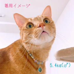 猫の首輪ブルー系ビーズネックレス首輪♡オシャレで大人っぽいイメージ✨ストーンチャーム 7枚目の画像