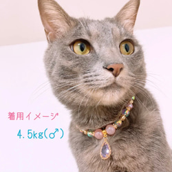 猫の首輪ピンク系ビーズネックレス首輪♡オシャレで大人っぽいイメージ✨ストーンチャーム 5枚目の画像