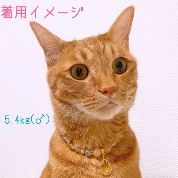 猫の首輪イエロー系ビーズネックレス首輪♡オシャレで大人っぽいイメージ✨ストーンチャーム 5枚目の画像