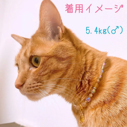 猫の首輪イエロー系ビーズネックレス首輪♡オシャレで大人っぽいイメージ✨ストーンチャーム 6枚目の画像