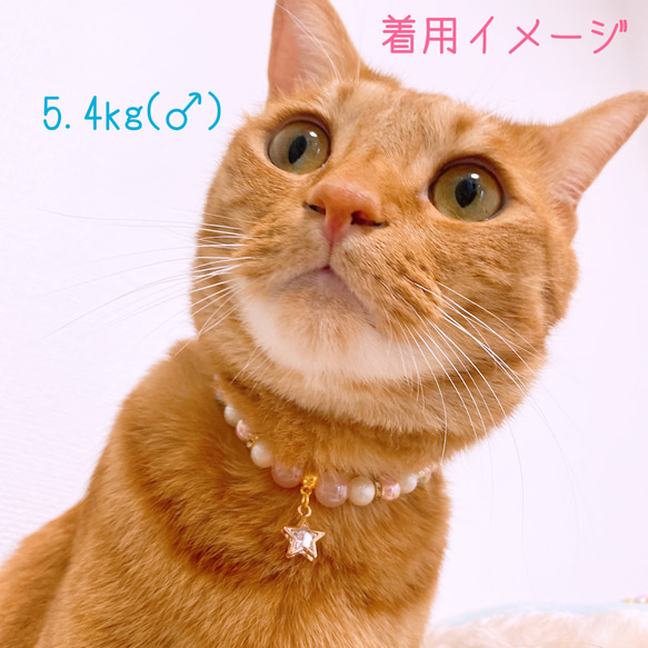 猫の首輪ピンクオーロラビーズ✨ネックレス首輪♡ジルコニア星チャーム☆*° 5枚目の画像