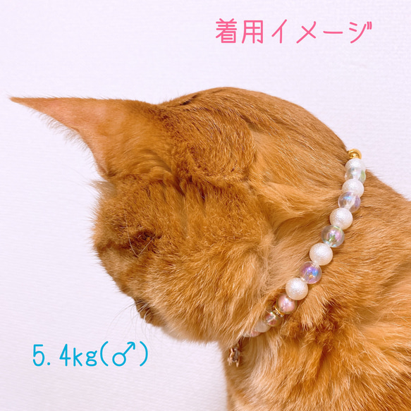 猫の首輪ピンクオーロラビーズ✨ネックレス首輪♡ジルコニア星チャーム☆*° 6枚目の画像