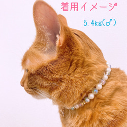 猫の首輪ブルーオーロラビーズ✨ネックレス首輪♡ジルコニア星チャーム☆*° 5枚目の画像