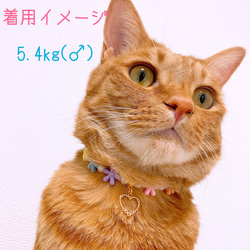 猫の首輪カラフルお花ビーズ✨ネックレス首輪♡ハートチャーム❤ 5枚目の画像