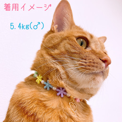 猫の首輪カラフルお花ビーズ✨ネックレス首輪♡ハートチャーム❤ 6枚目の画像