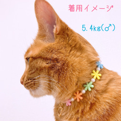猫の首輪カラフルお花ビーズ✨ネックレス首輪♡ハートチャーム❤ 7枚目の画像