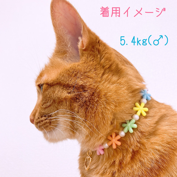 猫の首輪カラフルお花ビーズ✨ネックレス首輪♡ハートチャーム❤ 7枚目の画像