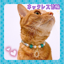 猫の首輪キレイめビーズ✨ネックレス首輪♡ストーン付きパール雫チャーム 1枚目の画像