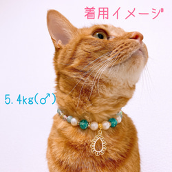 猫の首輪キレイめビーズ✨ネックレス首輪♡ストーン付きパール雫チャーム 7枚目の画像