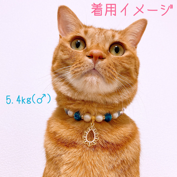 猫の首輪キレイめビーズ✨ネックレス首輪♡ストーン付きパール雫チャーム 5枚目の画像
