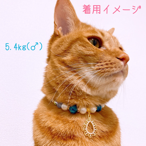 猫の首輪キレイめビーズ✨ネックレス首輪♡ストーン付きパール雫チャーム 6枚目の画像