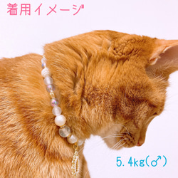 猫の首輪キレイめビーズ✨ネックレス首輪♡ストーン付きパール雫チャーム 6枚目の画像