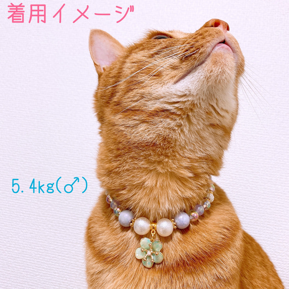 猫の首輪パープルビーズ✨ネックレス首輪♡お花チャーム 6枚目の画像