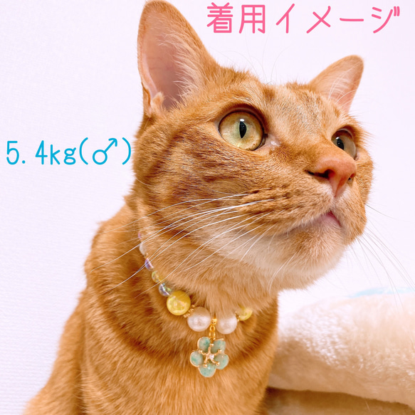 猫の首輪イエロービーズ✨ネックレス首輪♡お花チャーム 5枚目の画像