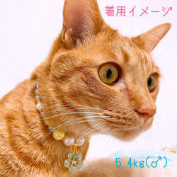 猫の首輪イエロービーズ✨ネックレス首輪♡お花チャーム 6枚目の画像