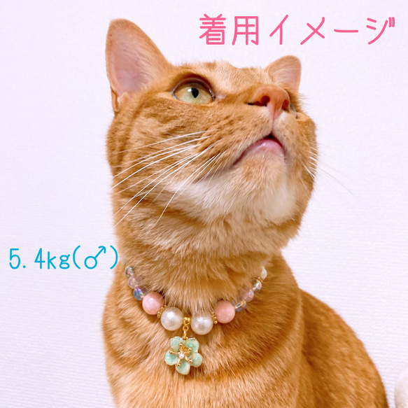 猫の首輪ピンクビーズ✨ネックレス首輪♡お花チャーム 5枚目の画像