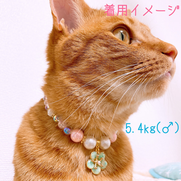 猫の首輪ピンクビーズ✨ネックレス首輪♡お花チャーム 6枚目の画像
