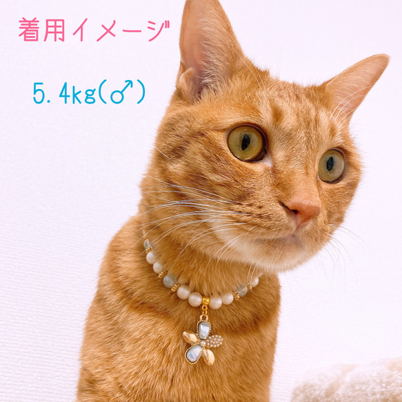 猫の首輪ブルー系ビーズ✨ネックレス首輪♡大きめお花チャーム.* 6枚目の画像