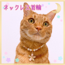 かぼっちゃん　作家作品ビーズねこネックレス 0_e789409a3fff47c64935f3024505