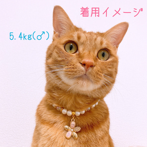 猫の首輪ピンク系ビーズ✨ネックレス首輪♡大きめお花チャーム 猫の首輪ピンク系ビーズ✨ネックレス首輪♡大きめお花チャーム