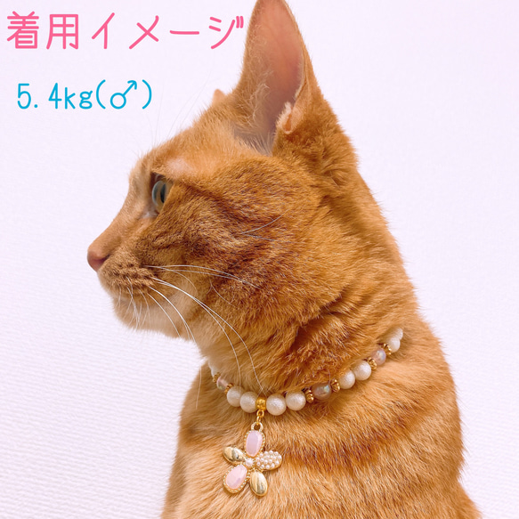 猫の首輪ピンク系ビーズ✨ネックレス首輪♡大きめお花チャーム.* 8枚目の画像