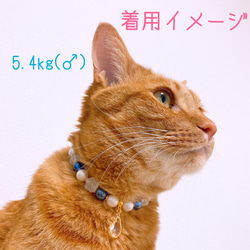 猫の首輪おしゃれブルービーズ✨ネックレス首輪♡ストーンチャーム 7枚目の画像