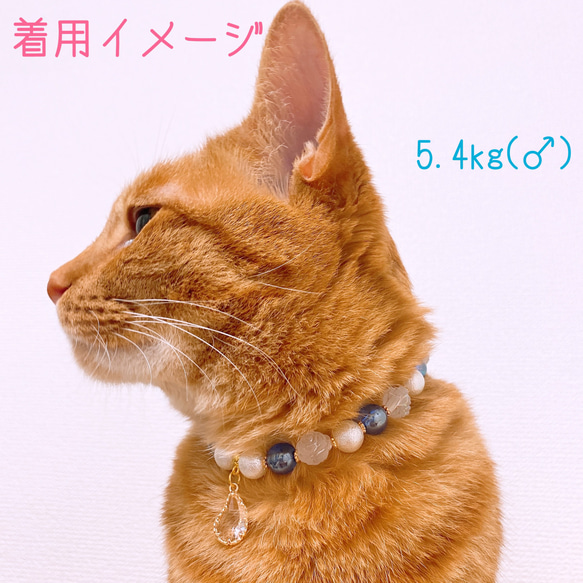 猫の首輪おしゃれブルービーズ✨ネックレス首輪♡ストーンチャーム 8枚目の画像