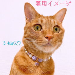 猫の首輪可愛い系パープルビーズ✨ネックレス首輪♡リボンチャーム 5枚目の画像