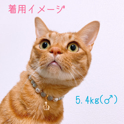 猫の首輪パールブルー系ビーズ✨ネックレス首輪♡クラウンチャーム色違いあり 5枚目の画像