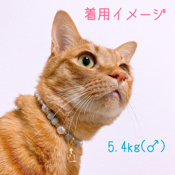 猫の首輪パールブルー系ビーズ✨ネックレス首輪♡クラウンチャーム色違いあり 6枚目の画像
