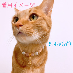 猫の首輪パールピンク系ビーズ✨ネックレス首輪♡クラウンチャーム色違いあり 5枚目の画像