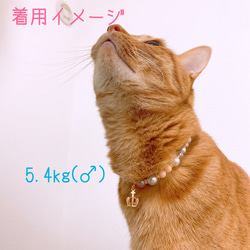 猫の首輪パールピンク系ビーズ✨ネックレス首輪♡クラウンチャーム色違いあり 6枚目の画像